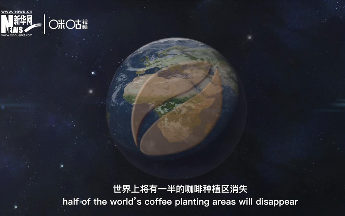 科學家預測到三十年后，世界上將有一半的咖啡種植區(qū)消失