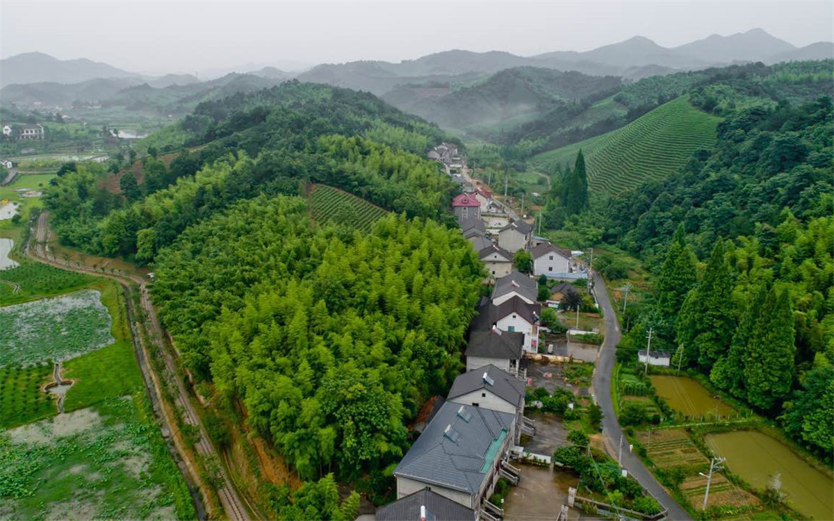 從2003年起，浙江省開展了&ldquo;千村示范、萬(wàn)村整治&rdquo;工程