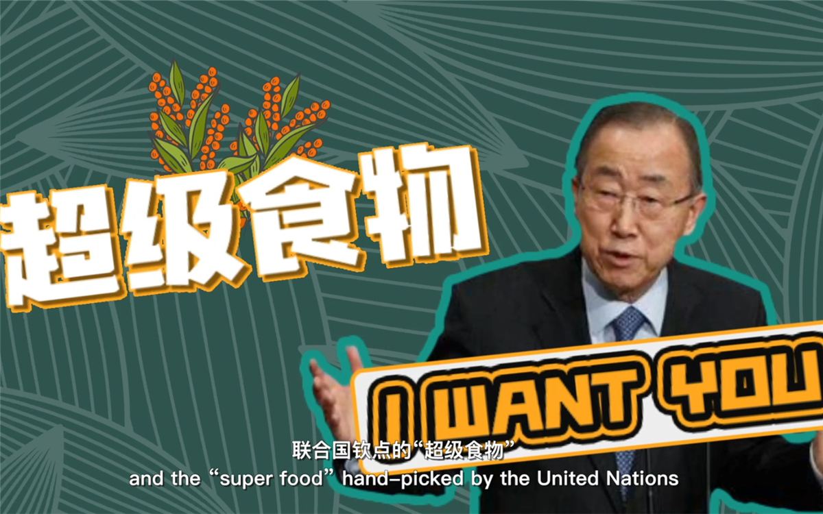 聯(lián)合國將藜麥視為抗擊饑餓的&ldquo;超級(jí)食物&rdquo;，大力推廣