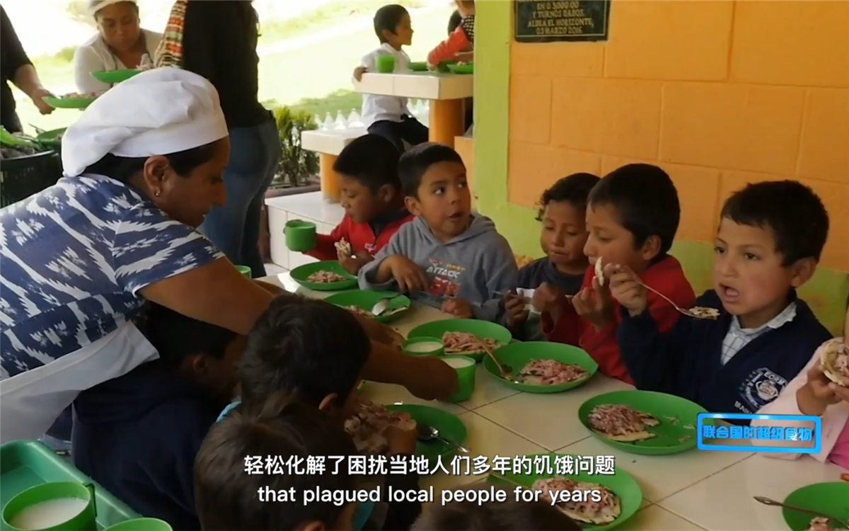 藜麥的蹤跡遍布北美、歐洲、亞洲和非洲多地