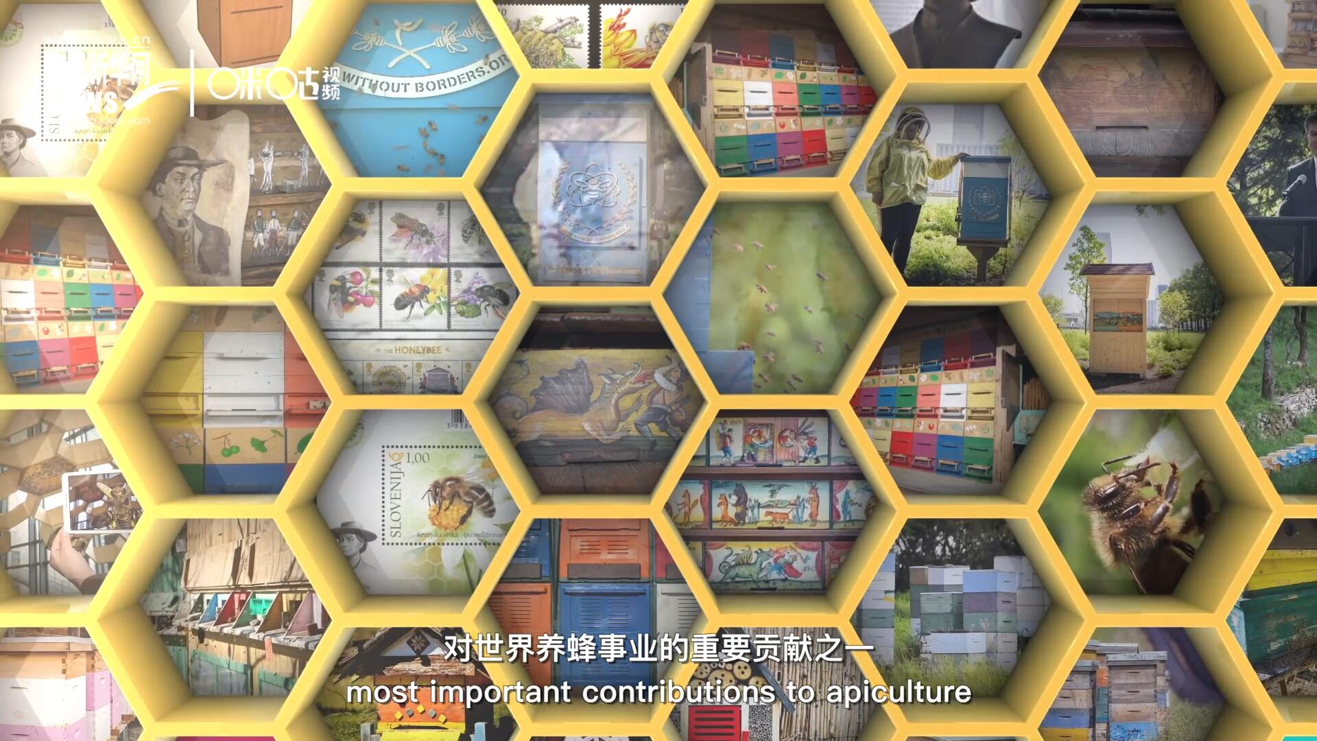 他開(kāi)始用色彩豐富的畫(huà)作來(lái)裝飾蜂巢的前板，幫助不同蜂群按照習(xí)性和顏色順利找到自己的蜂巢