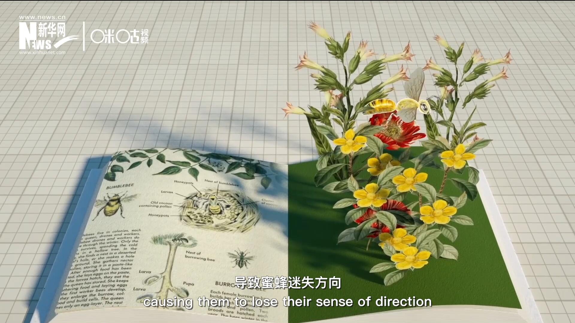 殺蟲(chóng)劑會(huì)破壞蜜蜂的神經(jīng)系統(tǒng)，導(dǎo)致蜜蜂迷失方向，無(wú)法回到蜂房，還會(huì)降低蜜蜂的抵抗力