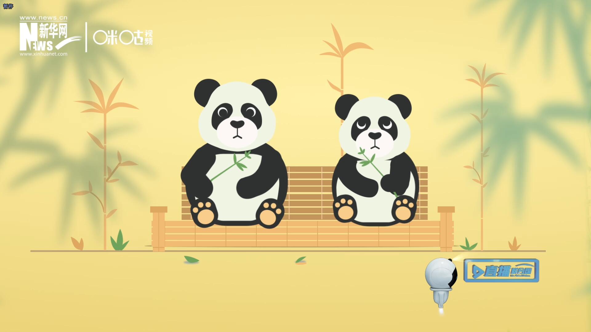 &ldquo;哥哥你看，又有人來看我們了。&rdquo;&ldquo;有什么奇怪的，我們可是聯(lián)合國&lsquo;最萌&rsquo;的大使??！&rdquo;。