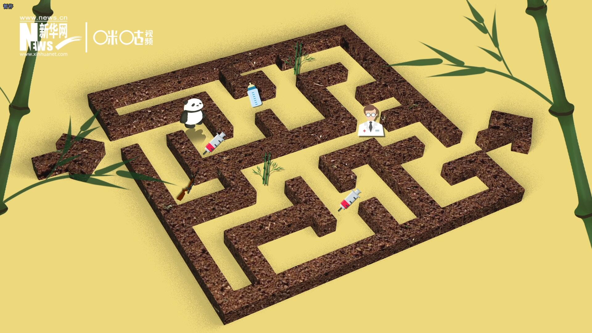 2016年，國際自然保護聯(lián)盟將大熊貓的物種瀕危等級，從&ldquo;瀕危&rdquo;下降到了&ldquo;易危&rdquo;。