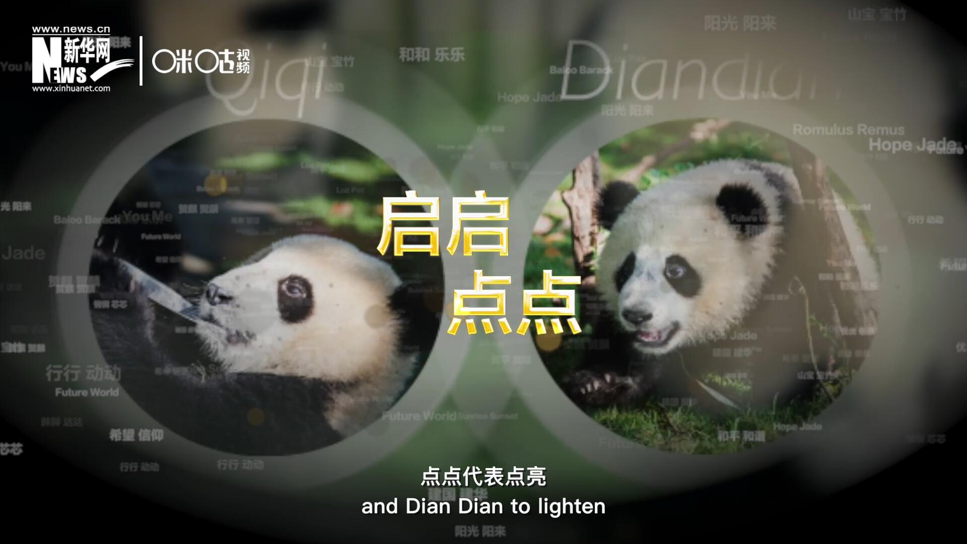 啟啟代表&ldquo;啟發(fā)&rdquo;，點點代表&ldquo;點亮&rdquo;，象征著2030年可持續(xù)發(fā)展議程 的&ldquo;起點&rdquo;，也象征著全球可持續(xù)發(fā)展路徑的新起點。