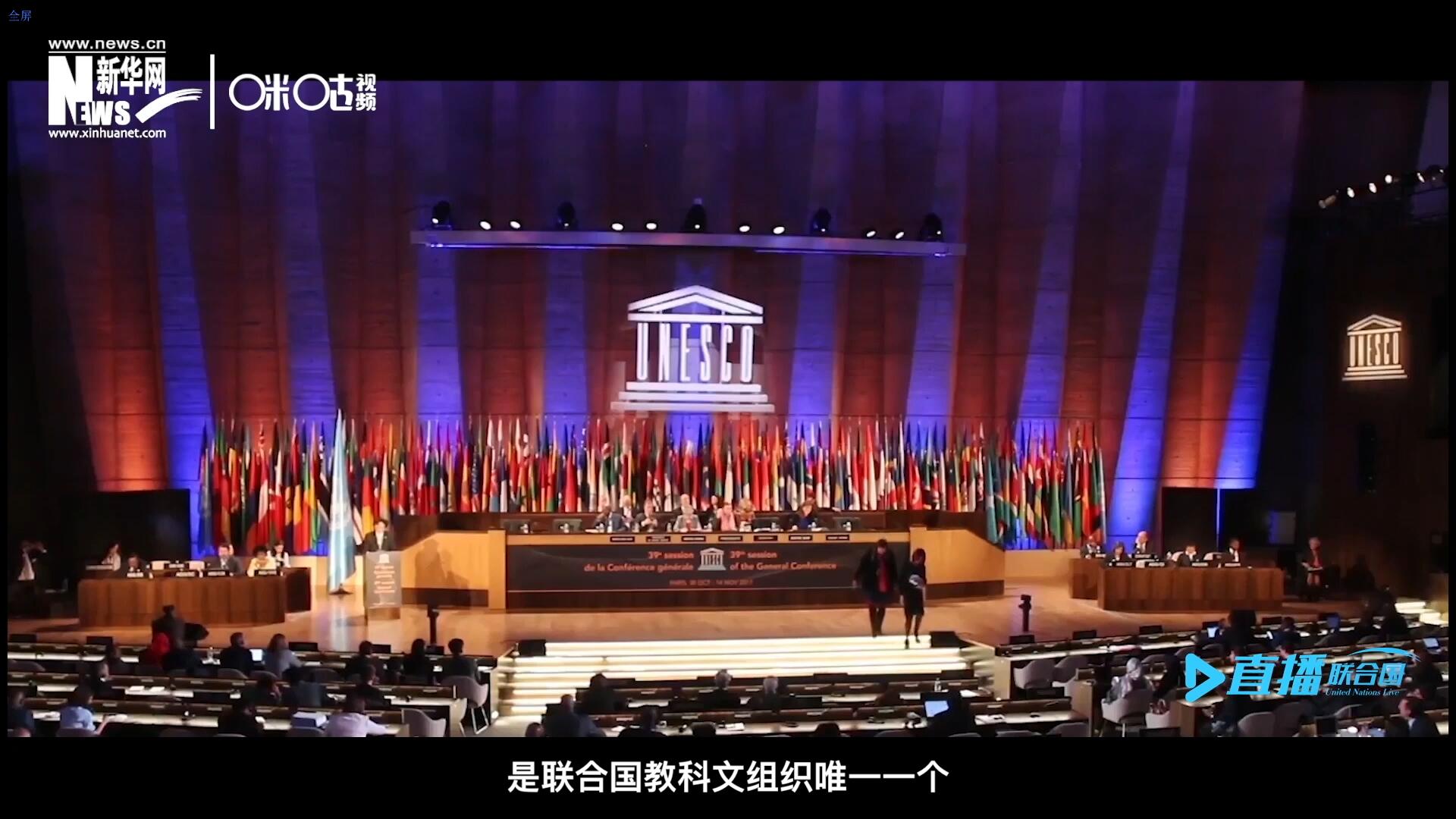 民間藝術(shù)國(guó)際組織成立于1979年，是聯(lián)合國(guó)教科文組織唯一一個(gè)以保護(hù)和挖掘國(guó)際民間藝術(shù)為工作中心的國(guó)際機(jī)構(gòu)。