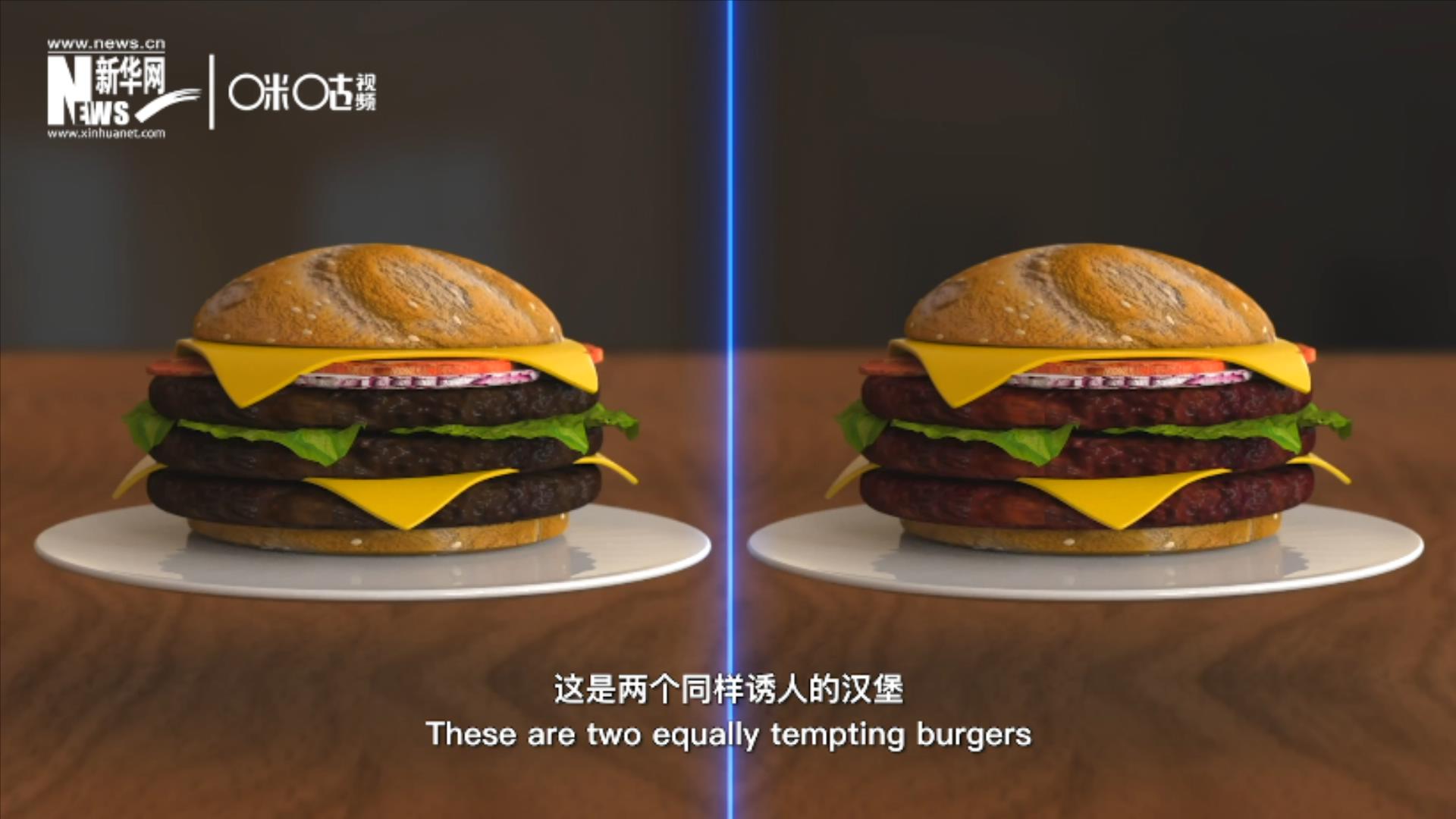 人造肉漢堡能在生產(chǎn)過(guò)程中節(jié)約水、土地、排放以及能量