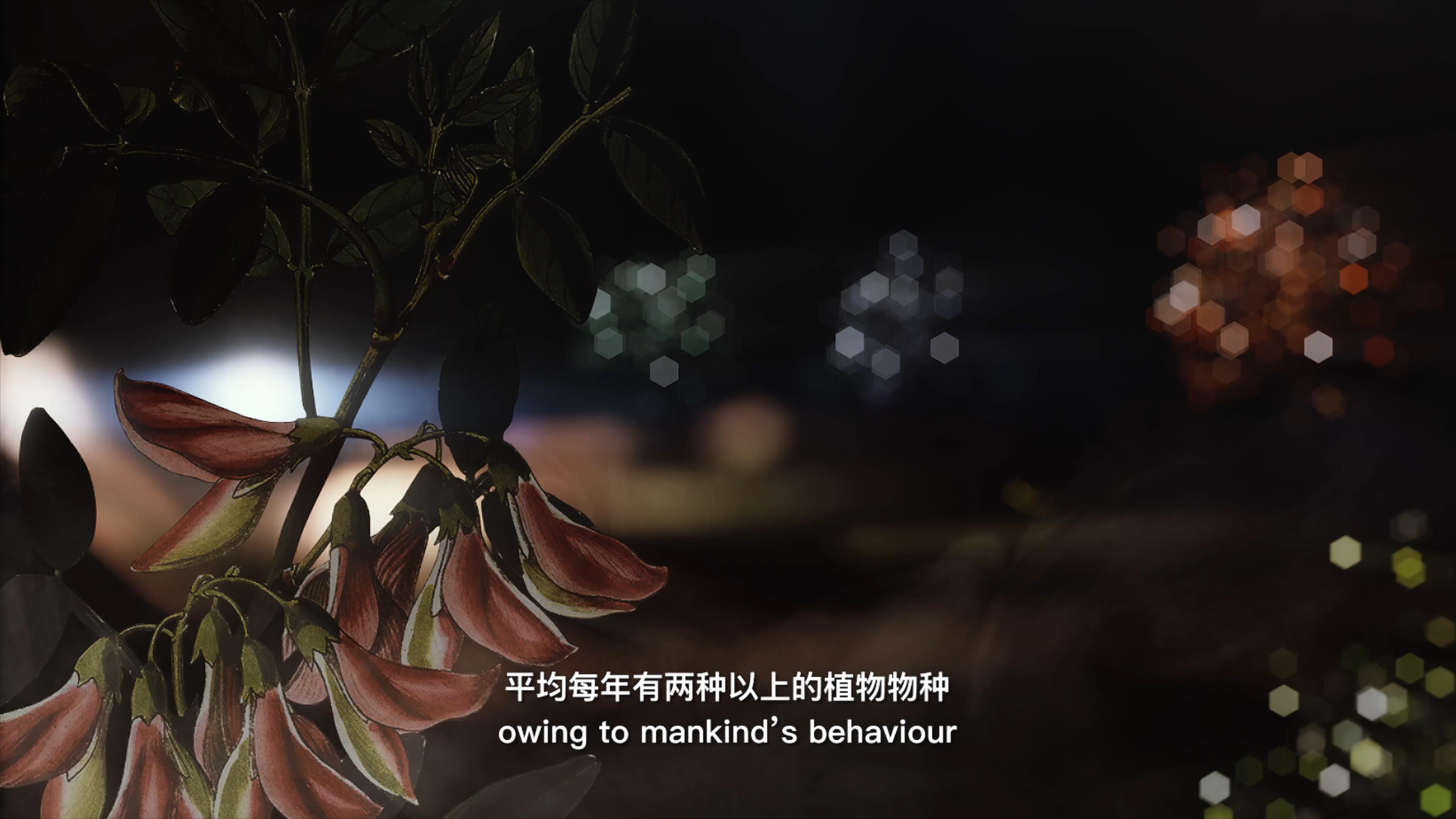 自18世紀中葉以來，許多植物物種因為人類的原因而從地球上消失