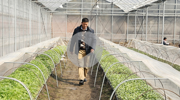 基層代表委員心里話：讓更多農(nóng)戶學會瓜果種植新技術(shù)