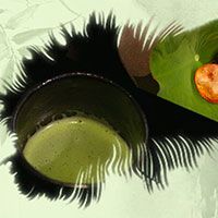 熱茶與伏天的關(guān)系，只有清涼