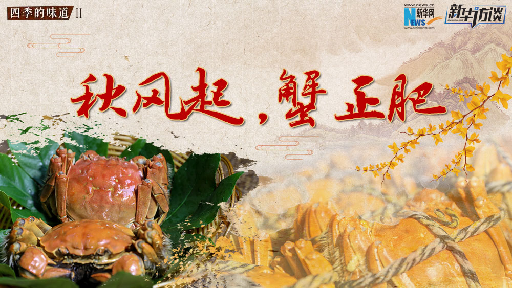 秋風起，蟹正肥