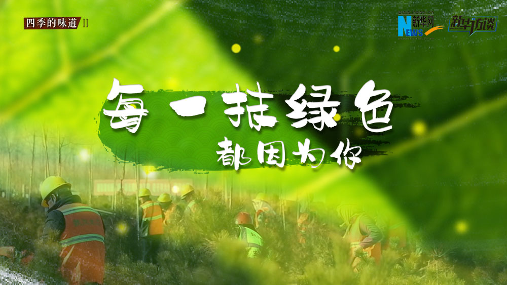 千年秀林，每一抹綠色都因?yàn)槟? /></p>
<p class=