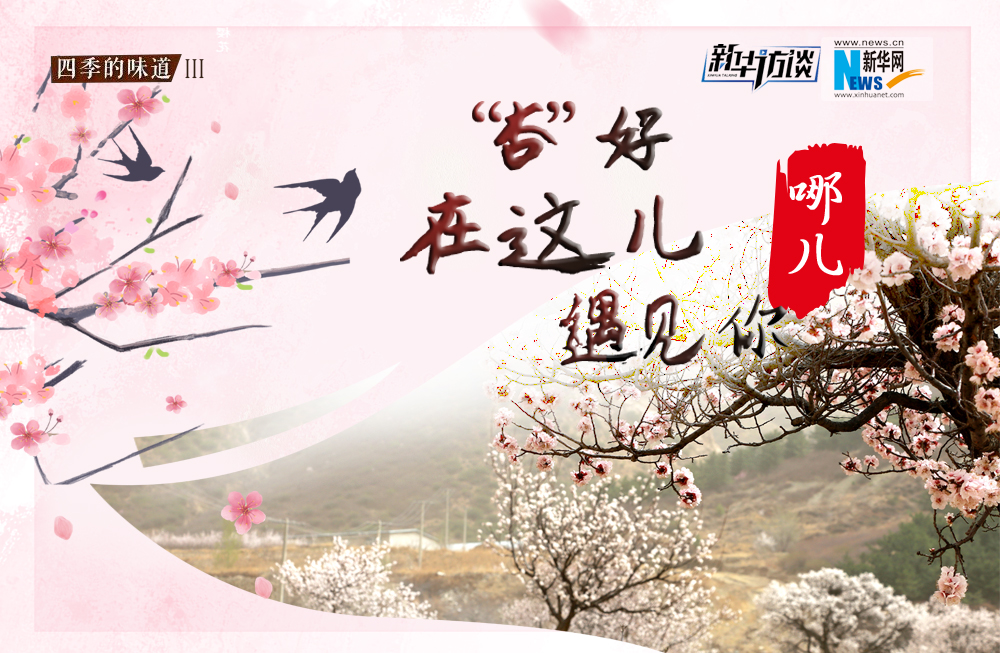 哪兒？&ldquo;杏&rdquo;好在這兒遇見你！