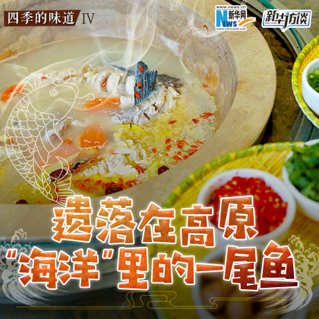 遺落在高原&ldquo;海洋&rdquo;里的一尾魚