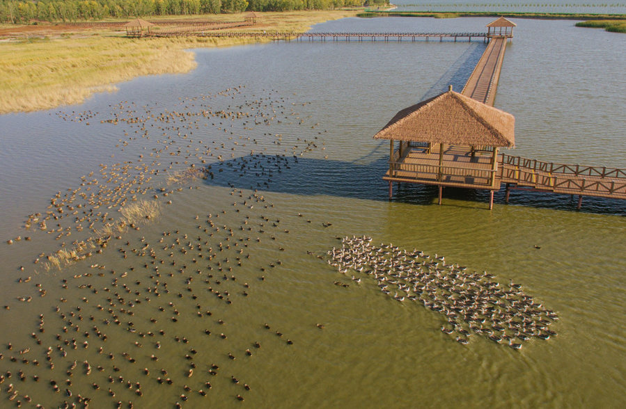 新華微評&middot;學(xué)習(xí)路上：生態(tài)興，百業(yè)旺