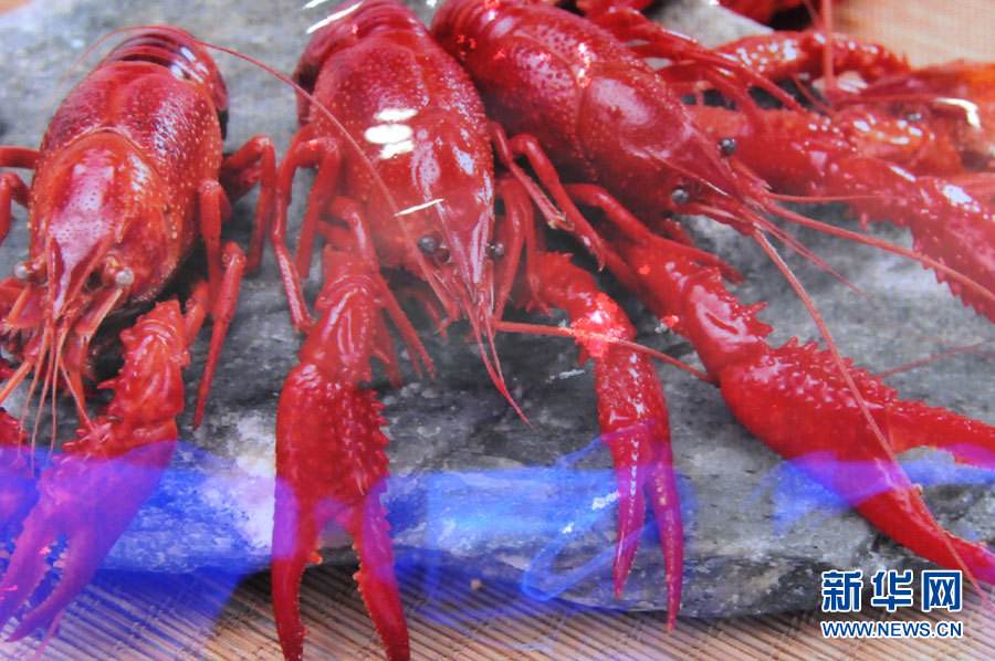 螺螄殼里做道場，小龍蝦吃出大產(chǎn)業(yè)