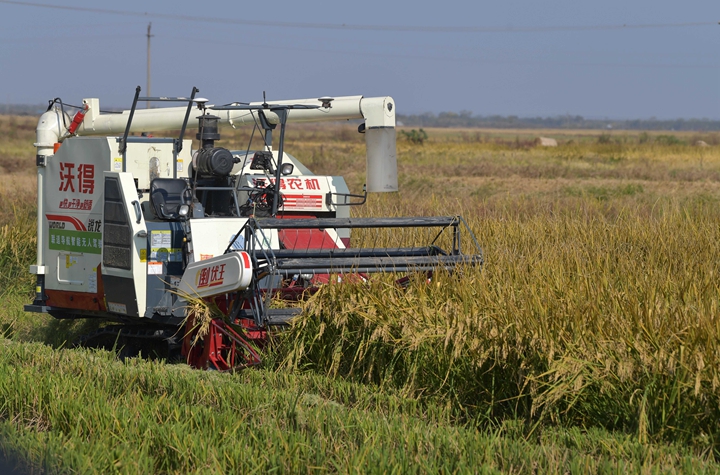 新華社評(píng)論員:穩(wěn)固耕地基本盤，打好種業(yè)翻身仗