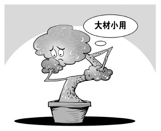 自認&ldquo;大材小用&rdquo;，不如腳踏實地