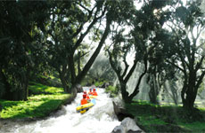諸暨千年香榧林探險(xiǎn)漂流