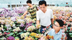 臺(tái)商眼中的改革開放：風(fēng)景這邊獨(dú)好 要去，要去，要去！