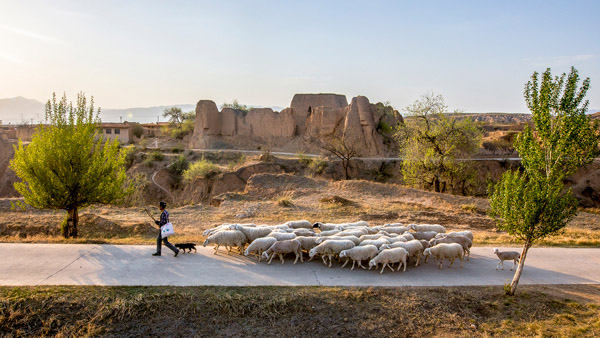 追夢足跡｜上馬圈：鐵馬冰河，黃土斑駁