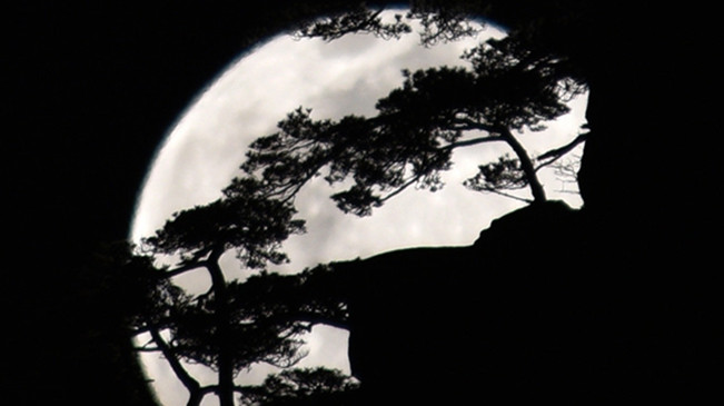 太驚艷！明月奇松 夢(mèng)幻同框