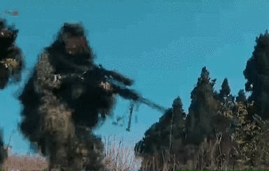 突入，擊斃！直擊武警特戰(zhàn)反劫持演練！