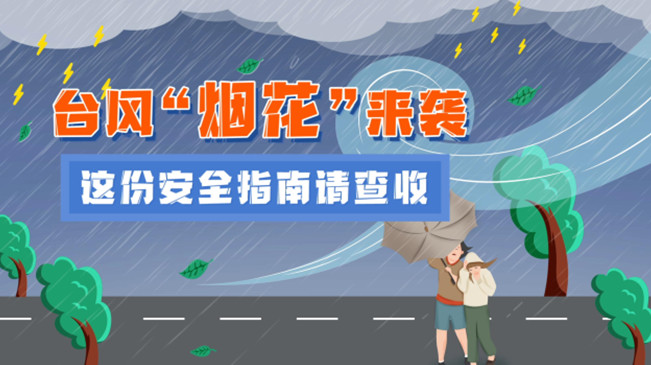 MG動畫：臺風(fēng)&ldquo;煙花&rdquo;來襲，這份安全指南請查收