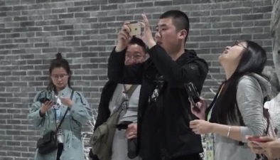 北京4月飄雪，鵝毛還是狂風任你呼喚