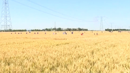 陜西：智能平臺助力夏收 實現(xiàn)農(nóng)機(jī)資源共享