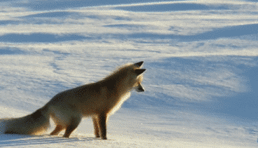 寒潮再襲 網(wǎng)友靈魂拷問(wèn)：這么冷為何還不下雪？