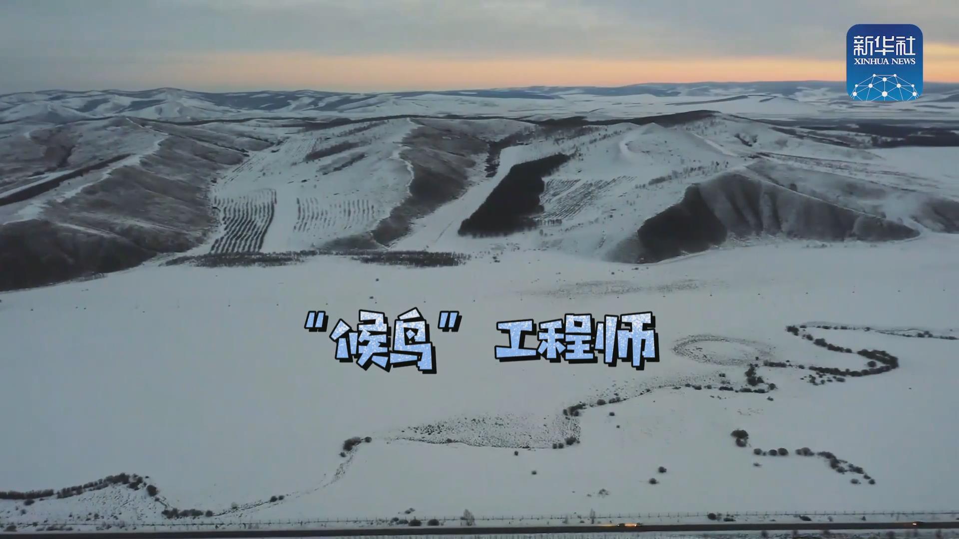 我們在奔跑丨一路向北！他是逆行的&ldquo;候鳥&rdquo;