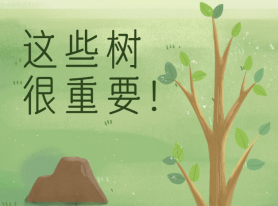 這些樹很重要！