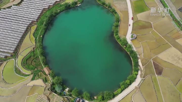 稻田新插，這里的山村美翻了！