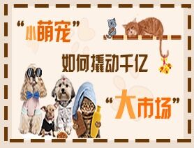 &ldquo;小萌寵&rdquo;如何撬動(dòng)千億&ldquo;大市場(chǎng)&rdquo;？