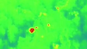 云南野生象群的奇幻之旅：紅外監(jiān)測&mdash;&mdash;夕陽鄉(xiāng)大雨 象群抱團(tuán)取暖