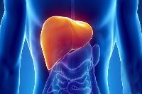 【健康解碼】轉氨酶輕度升高要不要緊？