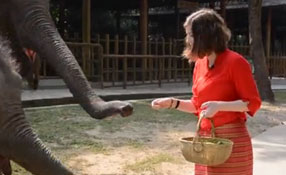 勐巴拉娜西！&ldquo;洋記者&rdquo;帶你游西雙版納