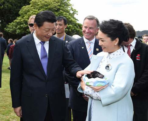 11月18日，國家主席習近平在澳大利亞塔斯馬尼亞州與朗塞斯頓市斯科奇－歐克伯恩小學的小學生共同植樹。這是習近平和夫人彭麗媛植樹后撫摸袋獾。新華社記者 馬占成 攝