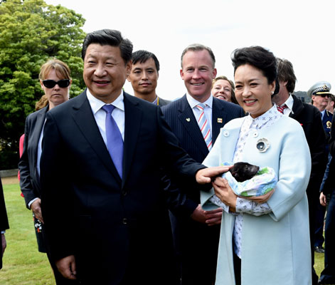 11月18日，國家主席習近平在澳大利亞塔斯馬尼亞州與朗塞斯頓市斯科奇－歐克伯恩小學的小學生共同植樹。這是習近平和夫人彭麗媛植樹后撫摸袋獾。新華社記者 饒愛民 攝