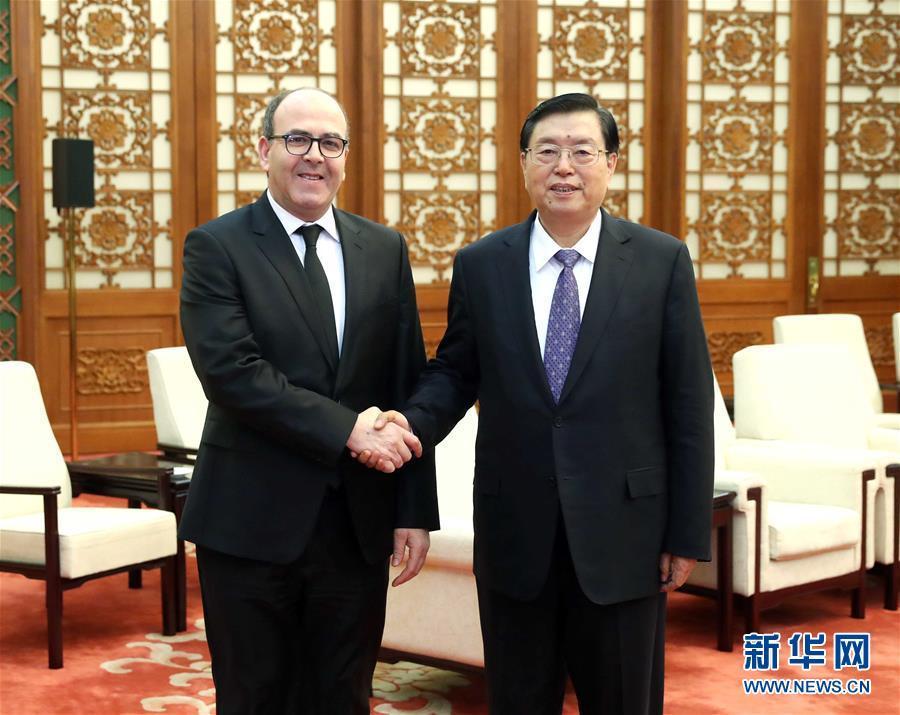 12月20日，全國人大常委會委員長張德江在北京人民大會堂會見摩洛哥參議長本希馬。新華社記者劉衛(wèi)兵攝