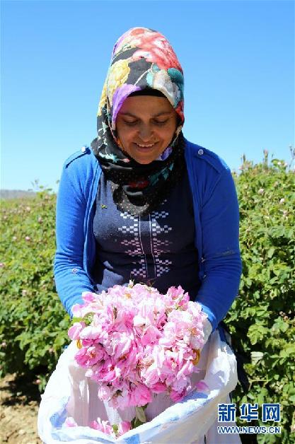 （國際&middot;圖文互動）通訊：土耳其&ldquo;玫瑰經(jīng)濟&rdquo;看好中國市場