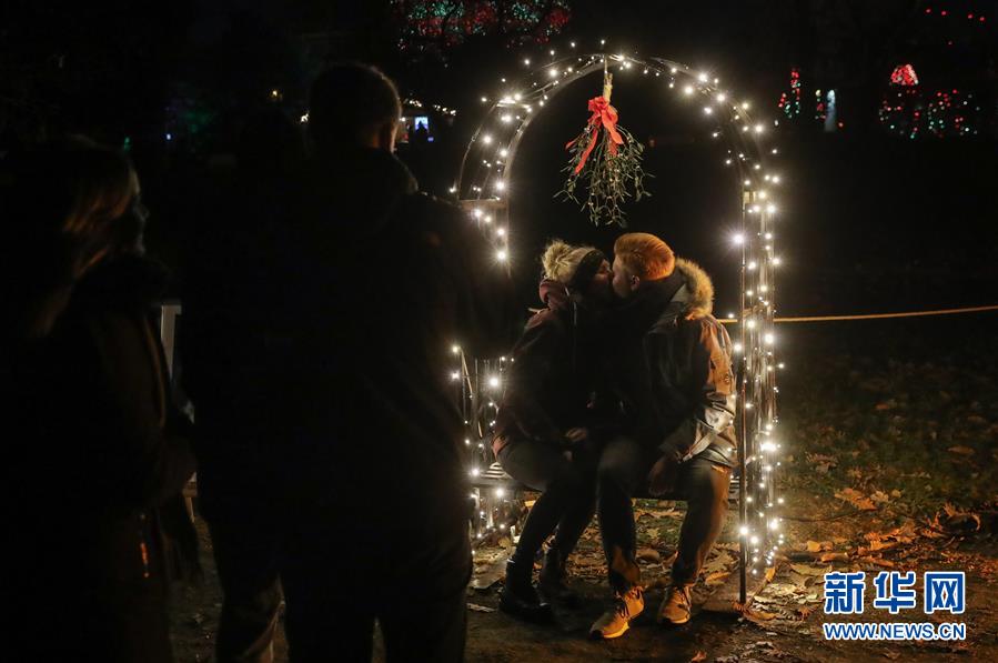 （國(guó)際）（6）&ldquo;柏林圣誕花園&rdquo;燈光秀開(kāi)幕