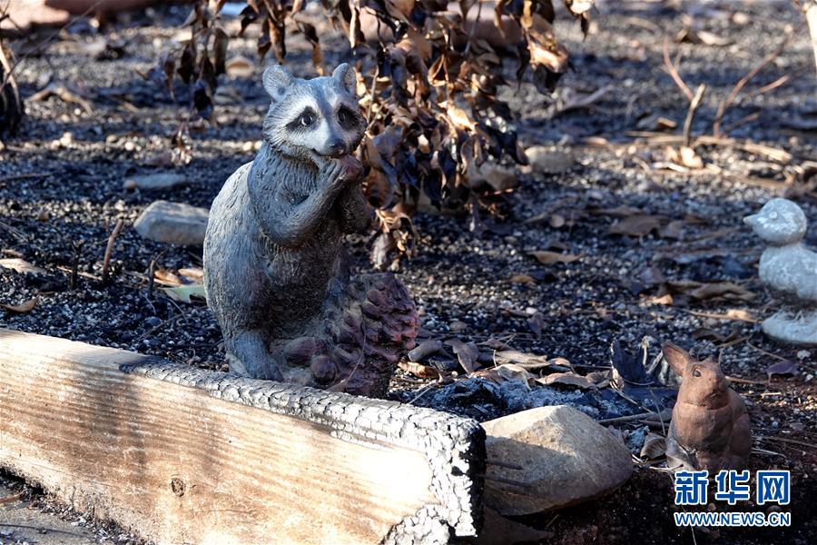 （國(guó)際&middot;圖文互動(dòng)）（4）一場(chǎng)山火，讓這個(gè)冬天格外冷&mdash;&mdash;探訪美國(guó)加州山火災(zāi)區(qū)