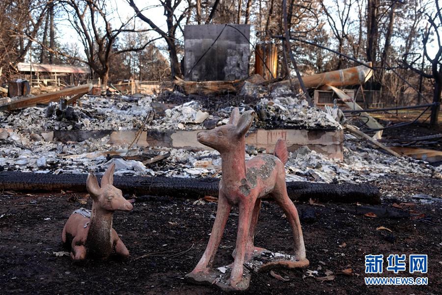 （國(guó)際&middot;圖文互動(dòng)）（6）一場(chǎng)山火，讓這個(gè)冬天格外冷&mdash;&mdash;探訪美國(guó)加州山火災(zāi)區(qū)