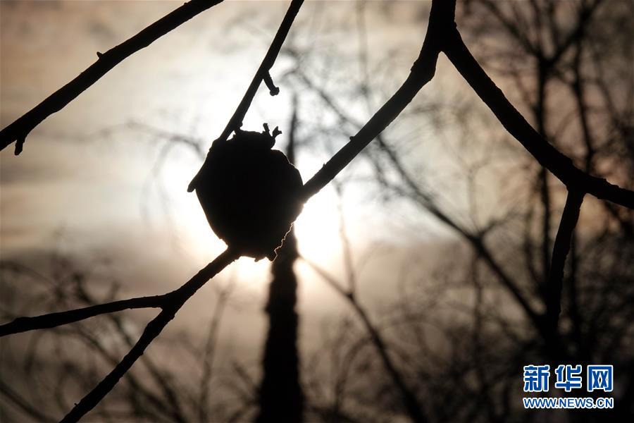 （國(guó)際&middot;圖文互動(dòng)）（10）一場(chǎng)山火，讓這個(gè)冬天格外冷&mdash;&mdash;探訪美國(guó)加州山火災(zāi)區(qū)