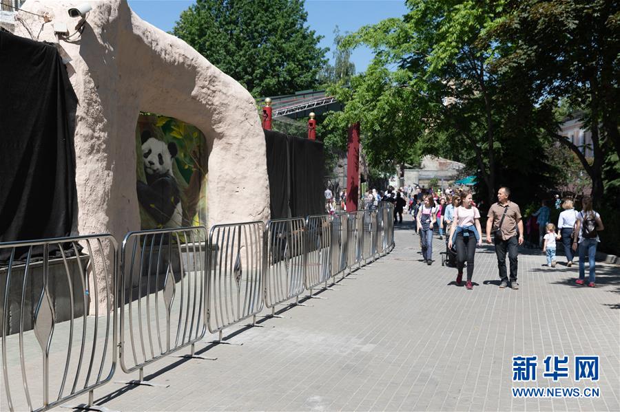 (習(xí)近平出訪配合稿·圖文互動(dòng))(2)通訊:“友誼使者”中國(guó)大熊貓入住莫斯科新家