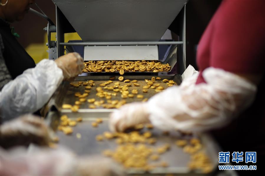 （國際&middot;圖文互動）（8）通訊：期待美中盡早達成貿(mào)易協(xié)議&mdash;&mdash;颶風(fēng)和關(guān)稅夾擊下的美國山核桃種植戶盼重回中國市場