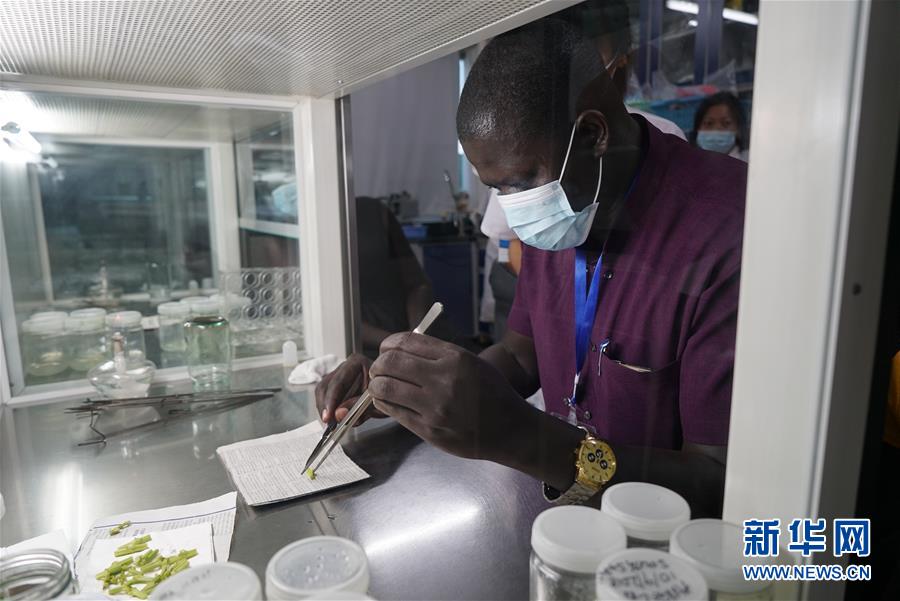 (在習(xí)近平新時(shí)代中國(guó)特色社會(huì)主義思想指引下——新時(shí)代新作為新篇章·總書記關(guān)切開放事·圖文互動(dòng))(8)來中國(guó)“學(xué)種地”的“洋學(xué)生”