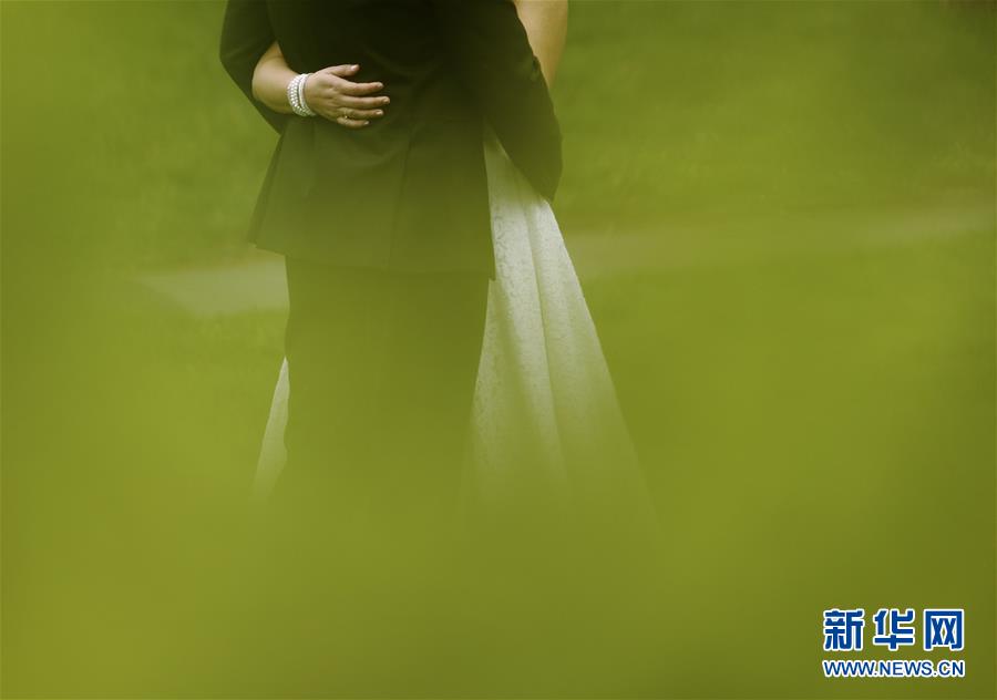 （國(guó)際&middot;年終報(bào)道）（13）2019，精&ldquo;彩&rdquo;紛呈